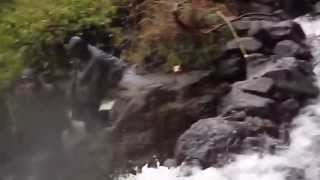 preview picture of video 'Trekking (down) Naneghat during Monsoon'