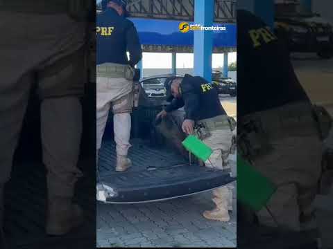 PRF apreende 135 kg de cocaína em operação no litoral do Piauí