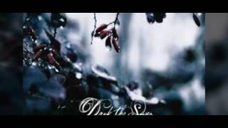 DARK THE SUNS -all ends in silence-(lyrics)