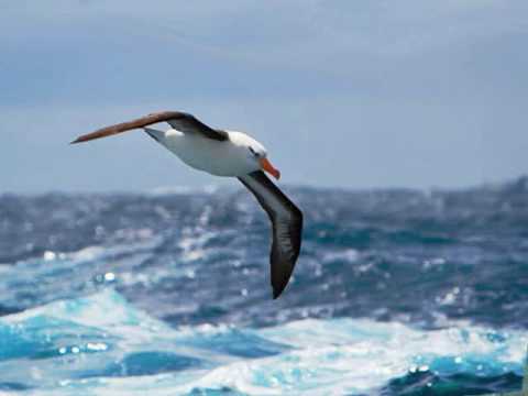 Luonnotar, op. 70 - Jean Sibelius