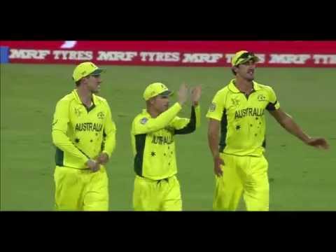 ICC Cricket World Cup Champions - Australia