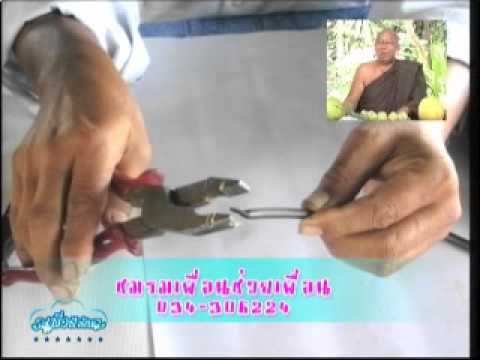 คลิกเพื่อดูคลิปวิดีโอ