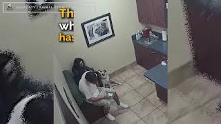 A shaking woman secretly slips a handwritten note to a veterinarian video