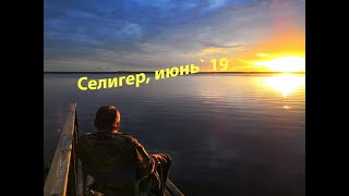 Ссылка