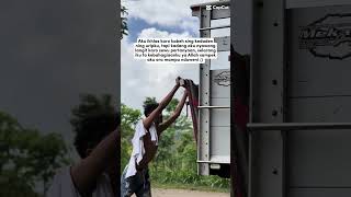 Download lagu nek rejeki ku bakale teko kan gusti.🤗🥰#masiyun #sobatngarit #oscarfarm #beranda#status#storywa#fypシ mp3 Download lagu nek rejeki ku bakale teko kan gusti.🤗🥰#masiyun #sobatngarit #oscarfarm #beranda#status#storywa#fypシ mp3