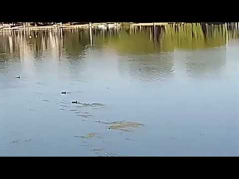 Tandil Provincia de Buenos Aires #viaggio#travel