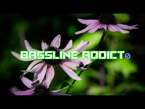 DJ Pantha - Candy Shop [DJ Q Remix]