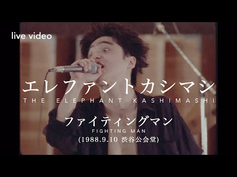 エレファントカシマシ「ファイティングマン」(1988.09.10渋谷公会堂ライブ)
