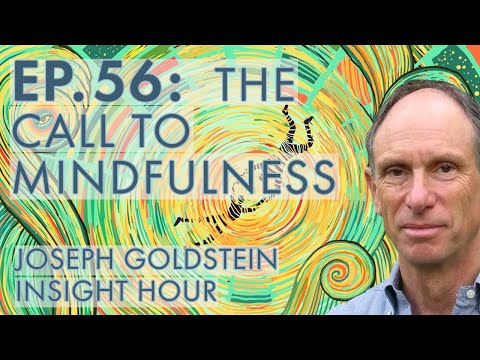 Joseph Goldstein – Insight Hour – Ep. 56 – The Satipatthāna Sutta: The Call to Mindfulness