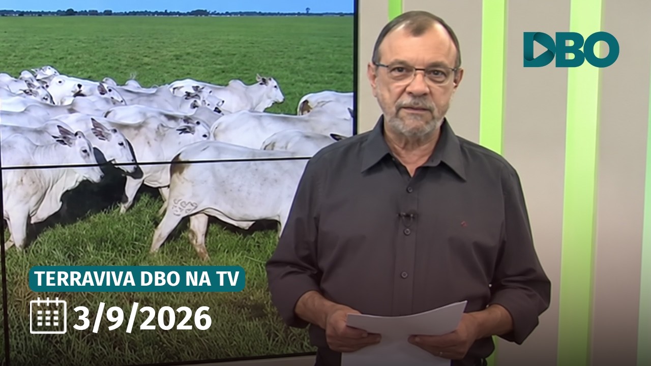 Terraviva DBO na TV – Programa do dia 3/9/2026 (Completo)