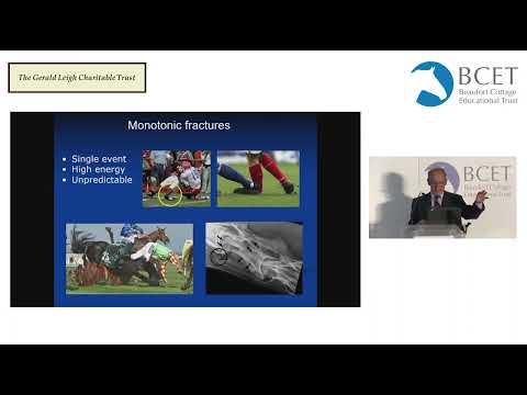 Triage and acute fracture management - good for horses and good for racing - Ian Wright