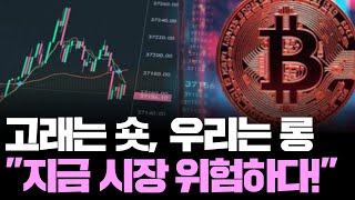 고래·기관 전원 숏 전환…