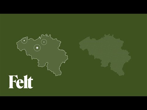 Vector vs Raster Data in GIS | Understanding Pixels, Images & Graphics