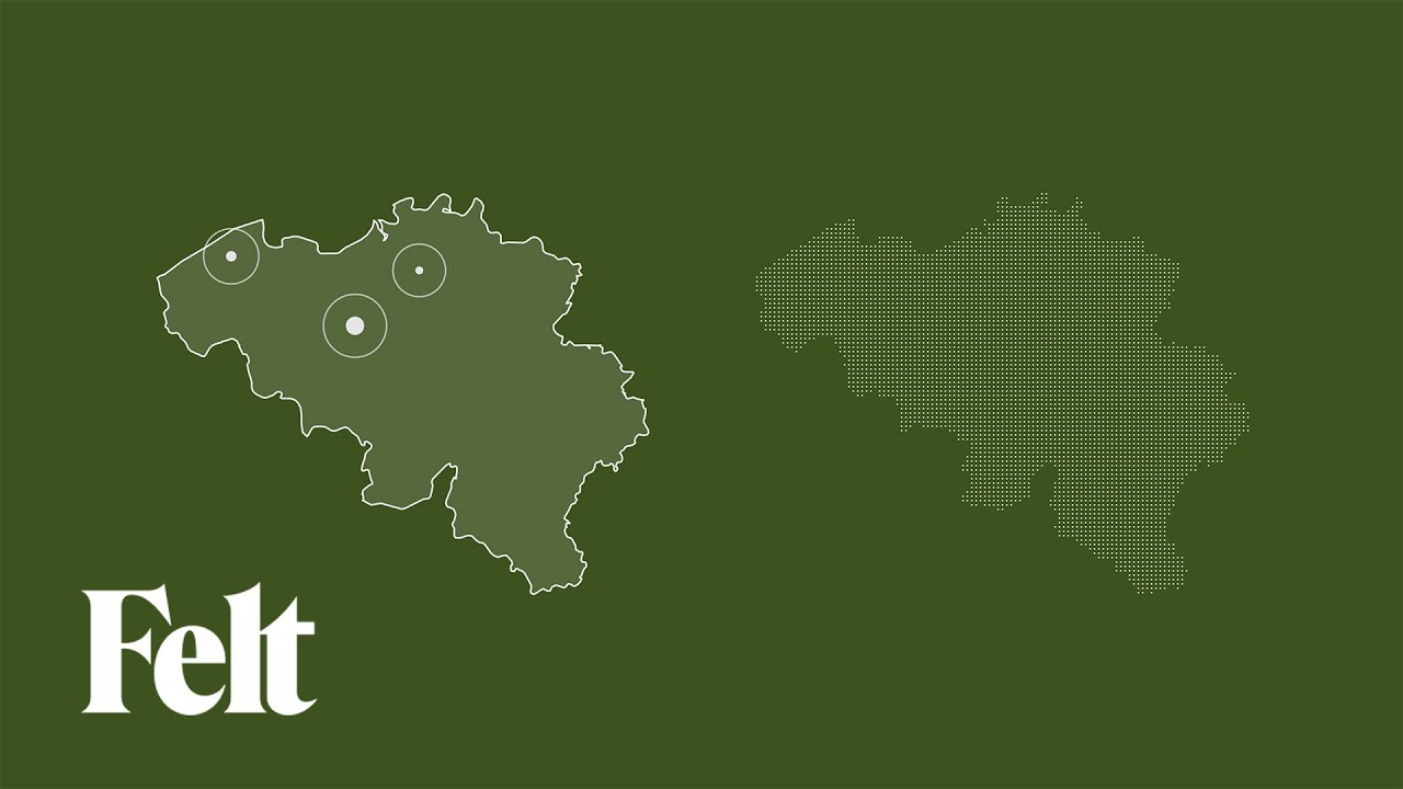 Vector vs Raster Data in GIS | Understanding Pixels, Images & Graphics