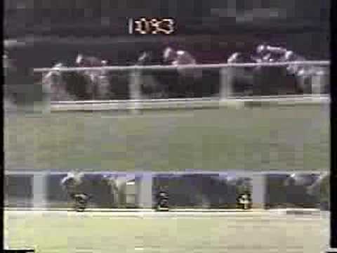 1988 Hollywood Gold Cup - Grade I