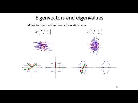 17: Principal Components Analysis_ - Intro to Neural Computation