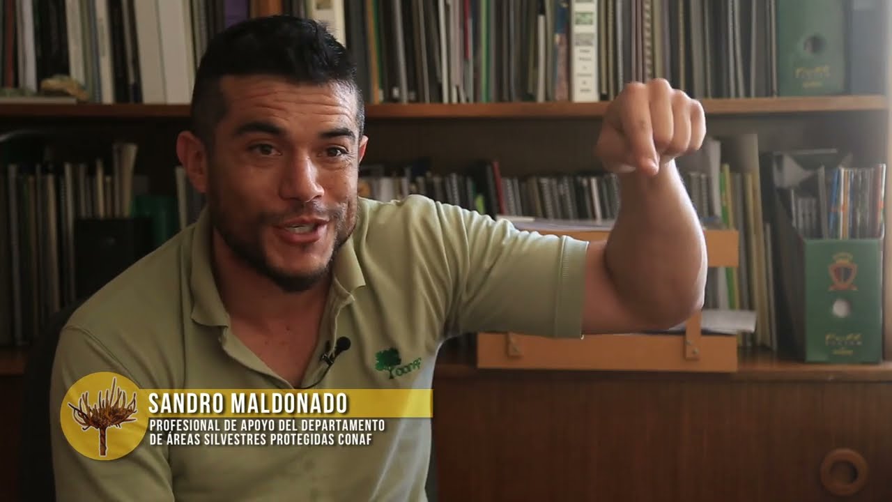 Monumento Natural Quebrada de Cardones, puerta de entrada al altiplano chileno
