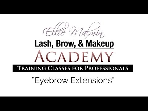 Eyebrow Extensions Course | Ellie Malmin - Lash, Brow, and Makeup Academy