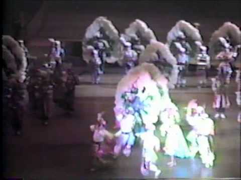 Aqua String Band 1993 Show of Shows