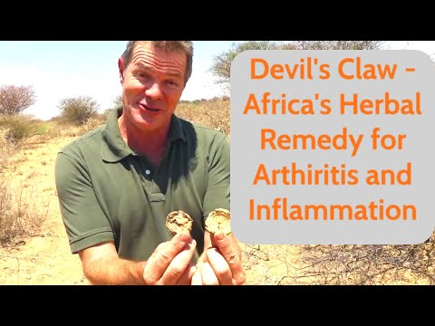 Devil’s Claw -  Africa’s Herbal Remedy for Arthritis and Inflammation