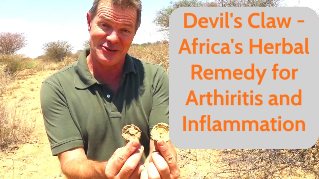 Devil’s Claw - Africa’s Herbal Remedy for Arthritis and Inflammation - YouTube