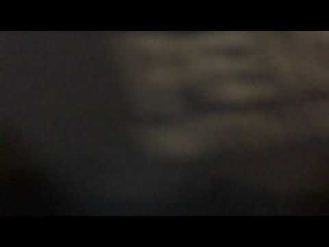 download lagu mp3 mp4 Trader Joes Tummies Penguins, download lagu Trader Joes Tummies Penguins gratis, unduh video klip Trader Joes Tummies Penguins