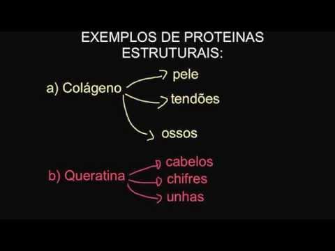 Proteínas  - segunda videoaula