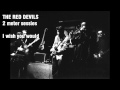The red devils - WIsh you would (2 meter sessies) - Live