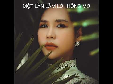 Một lần lầm lỡ - Hồng Mơ