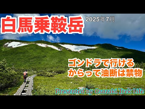 【白馬乗鞍岳 登山】北アルプス、白馬連峰の白馬乗鞍岳へ！ゴンドラで行けるからと油断は大敵．．．急登、岩登り、雪渓などなど、かなり大変な山行でした　2025年7月