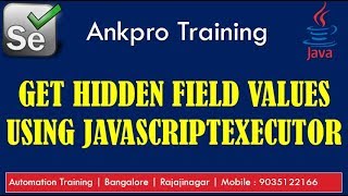 Selenium with Java 52 - How to get Hidden Field values using JavascriptExecutor interface