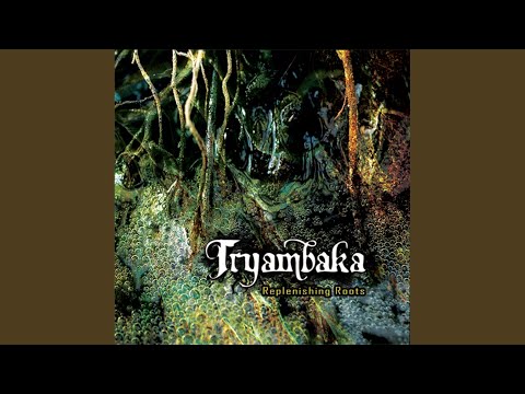 Fitz Fatz (Tryambaka Remix)