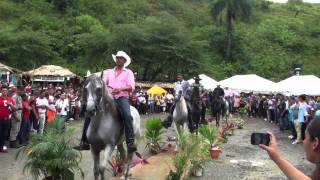 preview picture of video 'Desfile de Caballos en el Segundo Festival del Cacao'
