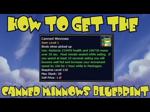WoW BfA 8.2 How to Get the Canned Minnows Blueprint in Mechagon