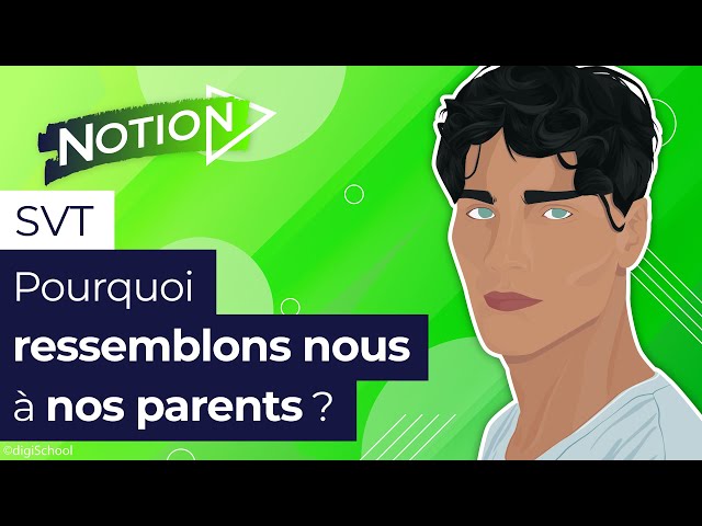 video youtube https://www.youtube.com/watch?v=N-6bM2joTp0