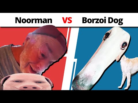 Noorman vs. Borzoi Dog [MEME Fight Night]