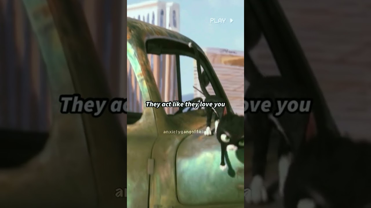 This is so true quotes - The Show Idea Short Videos