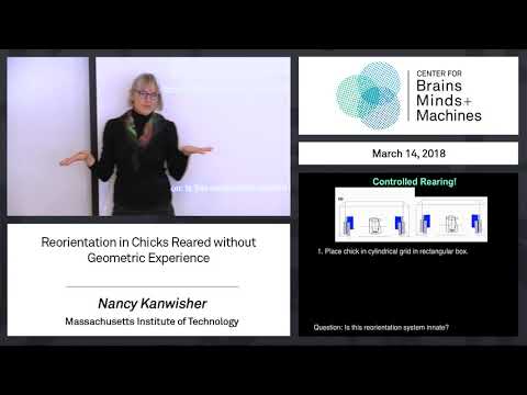 8.8 - Reorientation in Chicks Reared without Geometric Experience