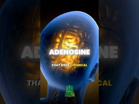 Caffeine Withdrawal Hits HARD (Science Explained)