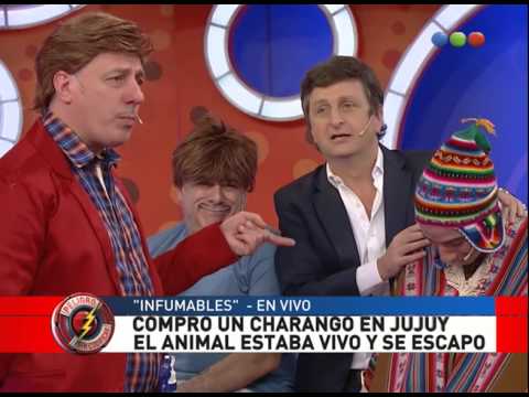 Infumables, compro un Charango y se le escapo - Peligro Sin Codificar 2015