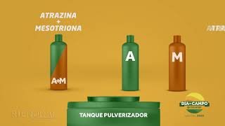 Miniatura do vídeo