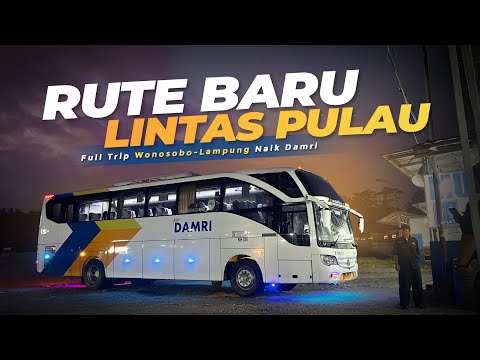 300,000 IDR to Lampung!! 😍 Trying the New DAMRI Route | Full Trip Wonosobo-Lampung (Part 2)