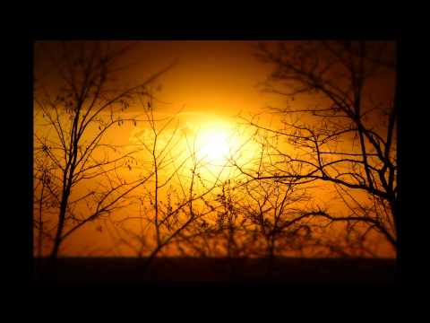 Nimeni Altu' - Stiloul