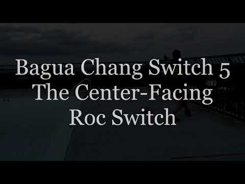 Baguazhang Switch 5 – Center-Facing Roc Switch – The East Coast Jornales System - Bagua Pakua Chang