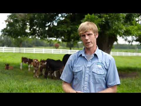 Image of Value Added Producer Grant: Working Cows Dairy