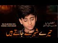 Tere Shehar Se Jate Hain 28 Rajab Noha New Noha 1st Muharram 2022