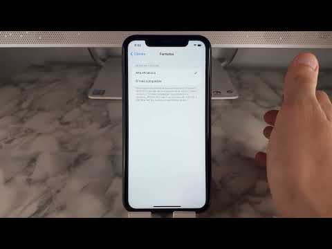 Cómo utilizar los filtros de cámara en el iPhone 11, iPhone 11 Pro y iPhone 11 Pro Max