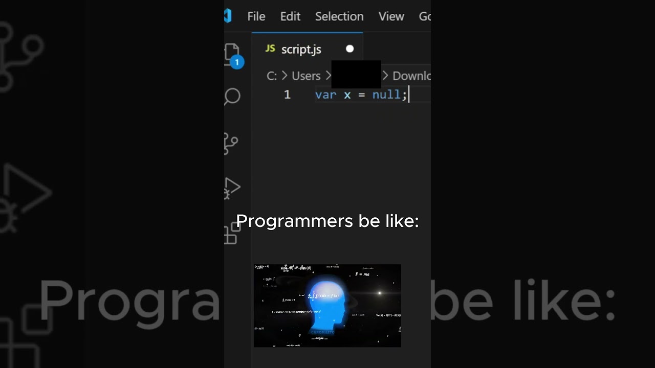Programmers' vs Mathematicians' Logic