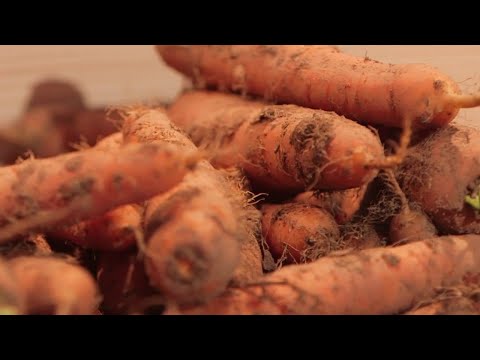 Biocoop : faut-il faire confiance au numéro 1 du bio ? - Tout compte fait