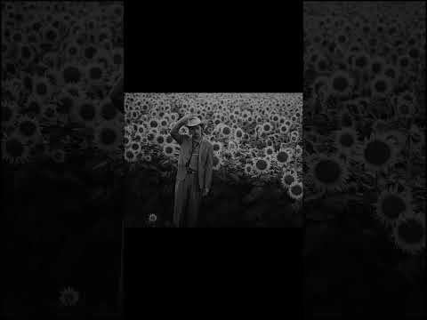 #Awich × #ALI 「#黄金の彼方 」MVティザー公開 #ゴールデンカムイ #Anime #shorts